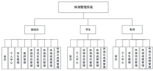 计算机毕业设计springboot体测管理系统910w2 附源码 数据库 部署 lw